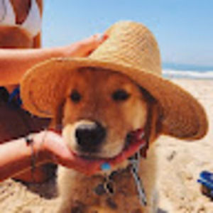 Meet your Posher, Hailey j